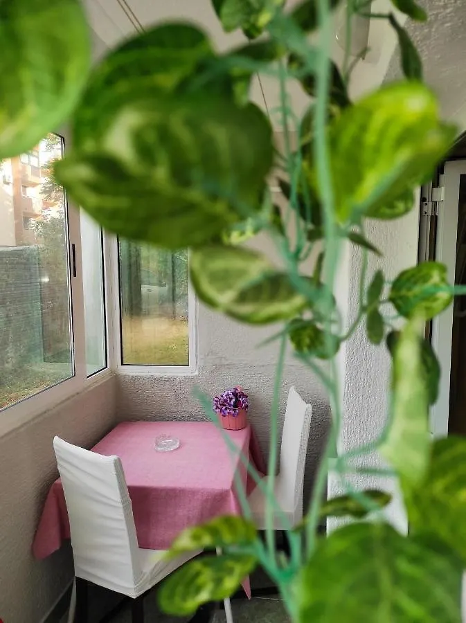 Apartment Sanja Pazin 0*,  Kroatien