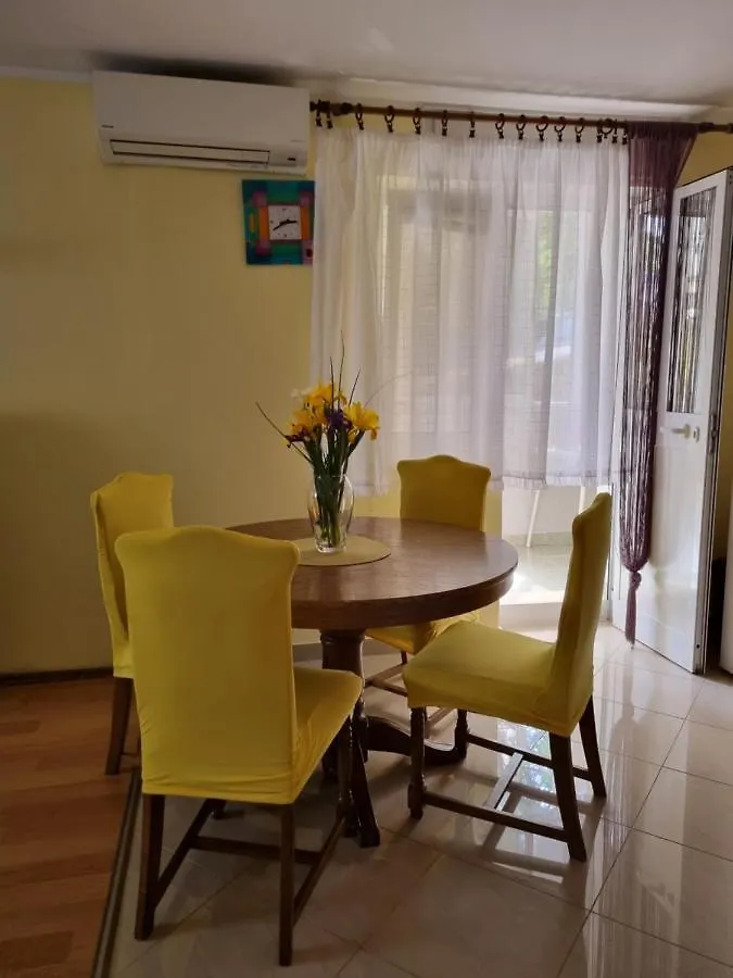 Apartment Sanja Pazin