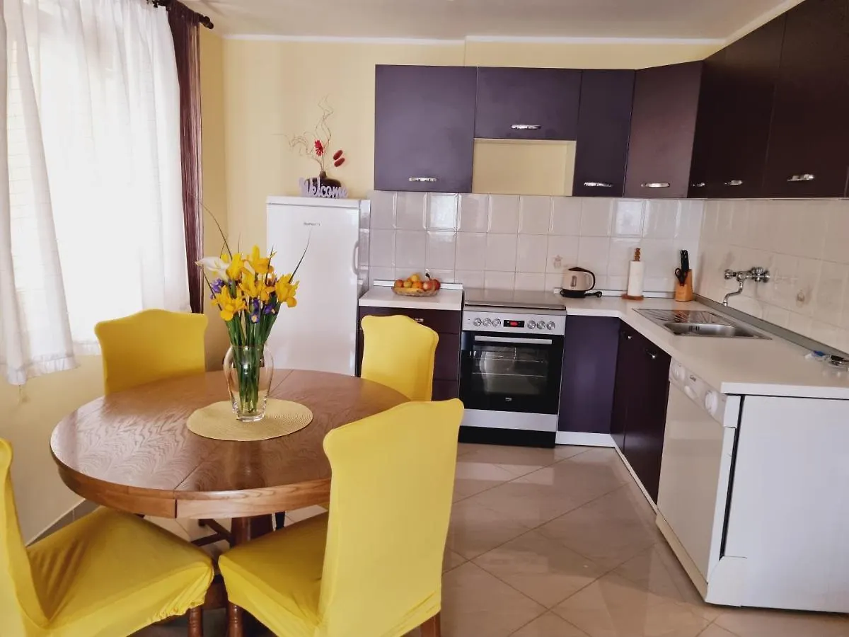 Apartment Sanja Pazin