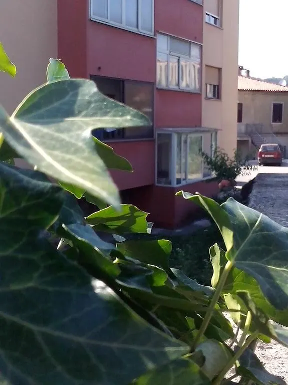 Apartment Sanja Pazin